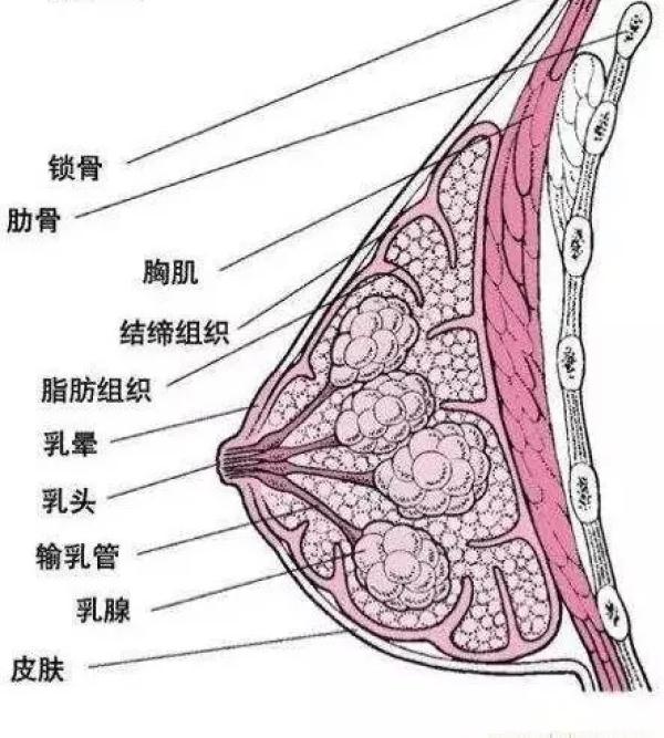 AG真人平台网址