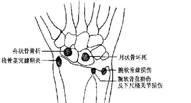 AG真人官方网址