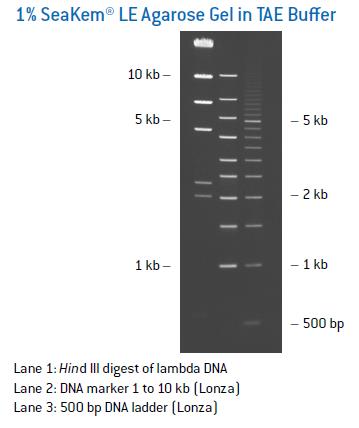 扫描辐射量减少82%以色列新技术使CT更安全-AG真人平台网