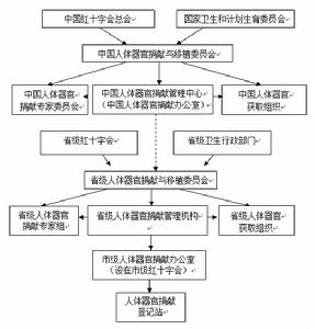 ag真人官网平台