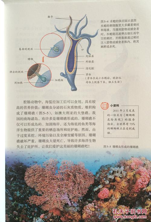 洛里：比利时的防线同样很深“AG真人官方网址”